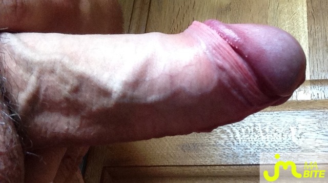 bites de Bite12900