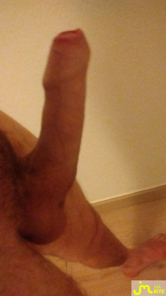 bites de Niko74