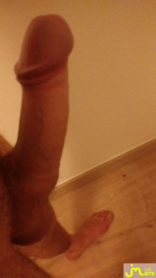 bites de Niko74