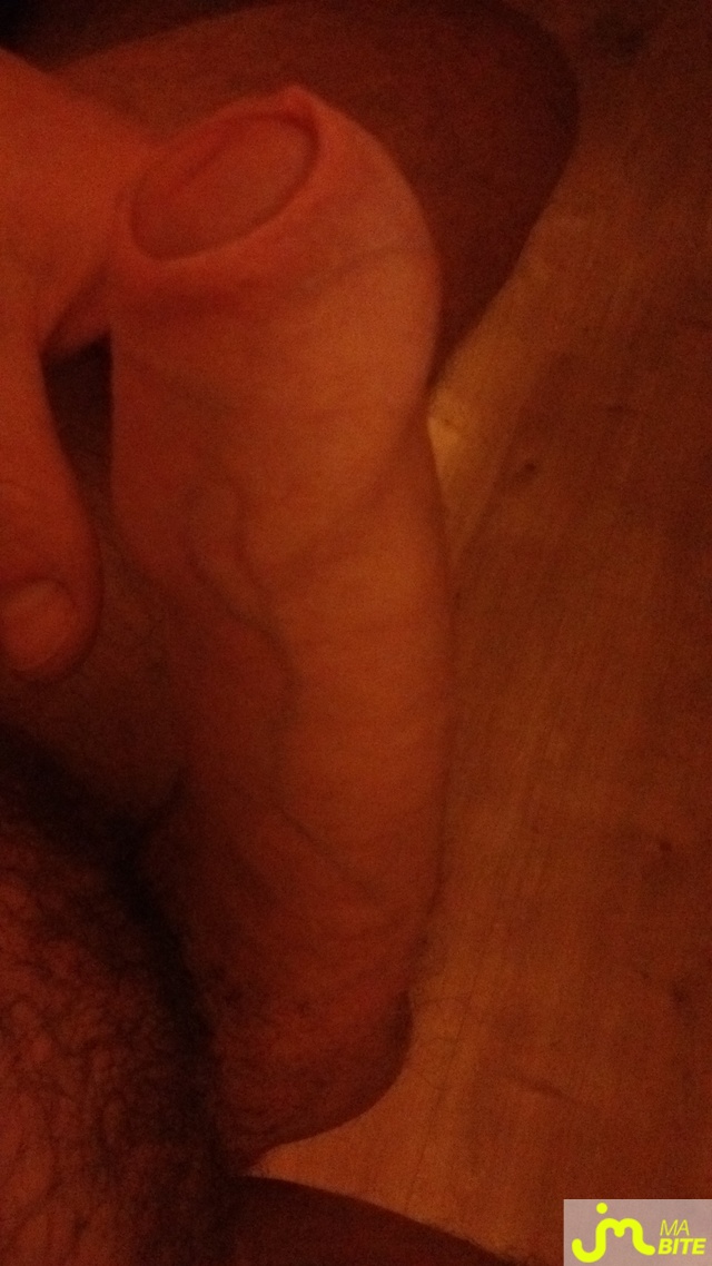 bites de Niko74