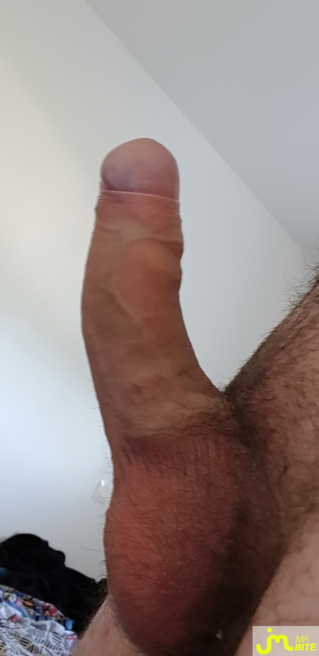 bites de Yorock22