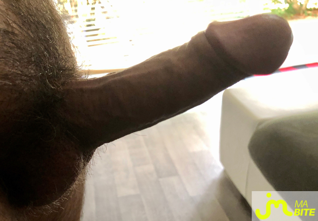 bites de Membre31