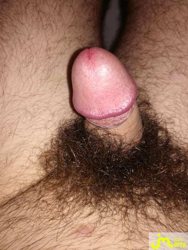 bites de Diego