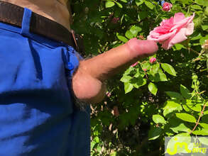 Photos de bites : Jardiner les roses