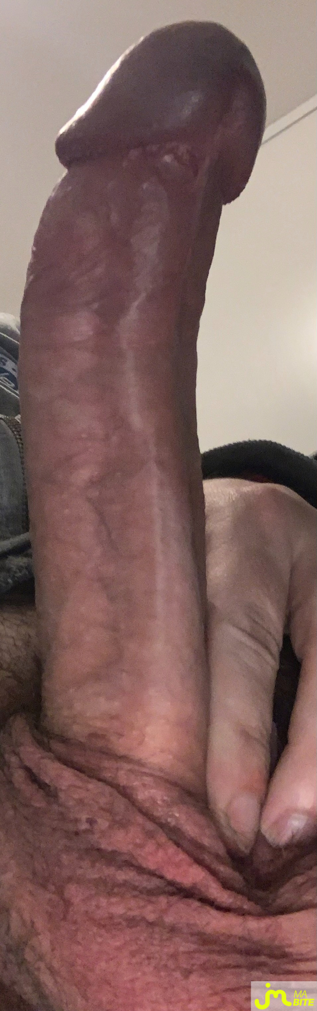bites de biorgle