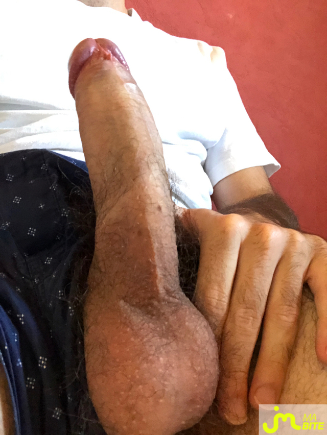 bites de ksnX