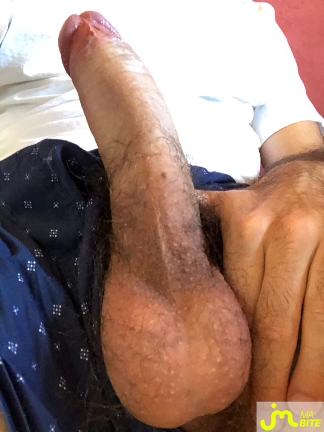 bites de ksnX