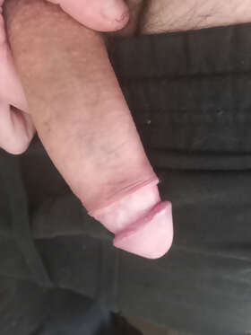 Photos de bites : 1 er 