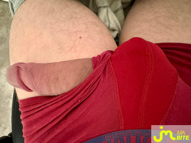 bites de vinzs77
