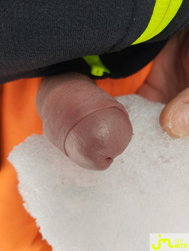 bites de Cycliste18cm