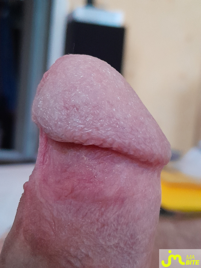bites de sboob35