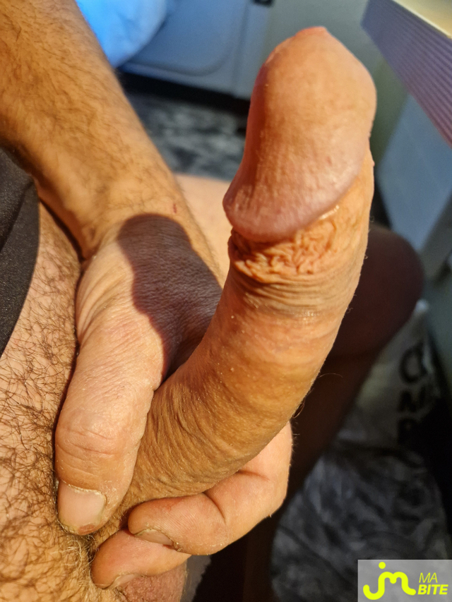 bites de Sebany