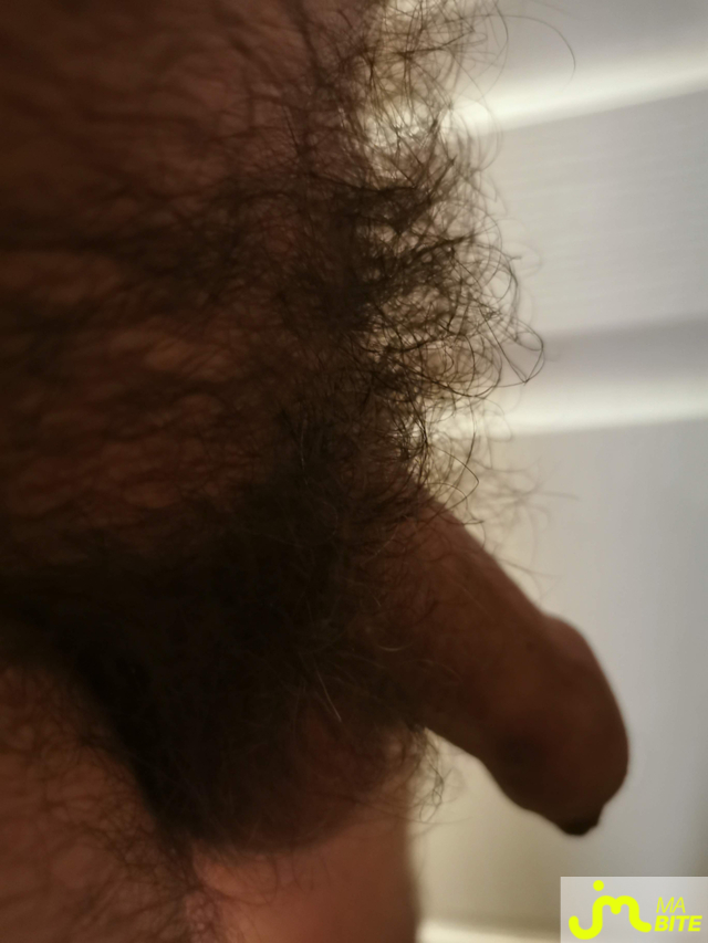 bites de Petrus02