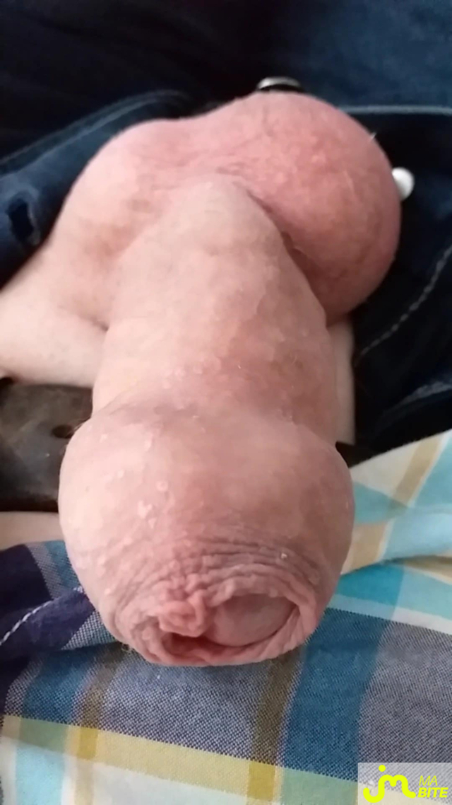 bites de Veys 59