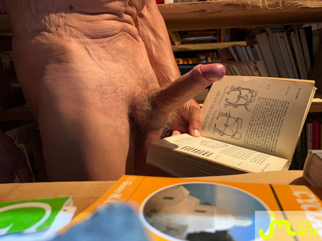 bites de vertvif