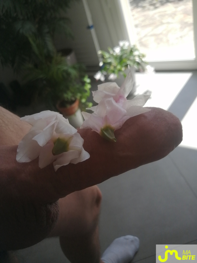 bites de Osanaman