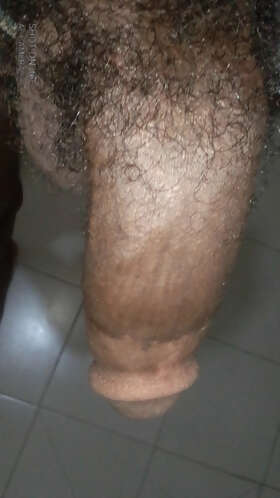 Photos de bites : My cock