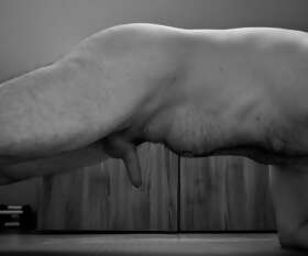 Photos de bites : Séance sport