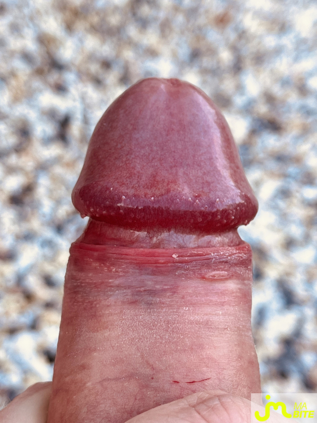 bites de pierrotdard