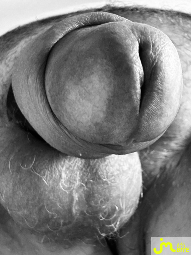 bites de Big is beautiful 22