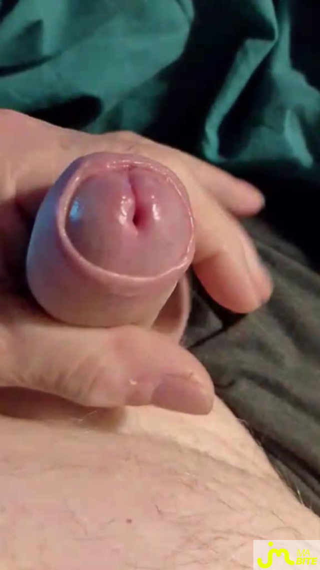 bites de Veys 59