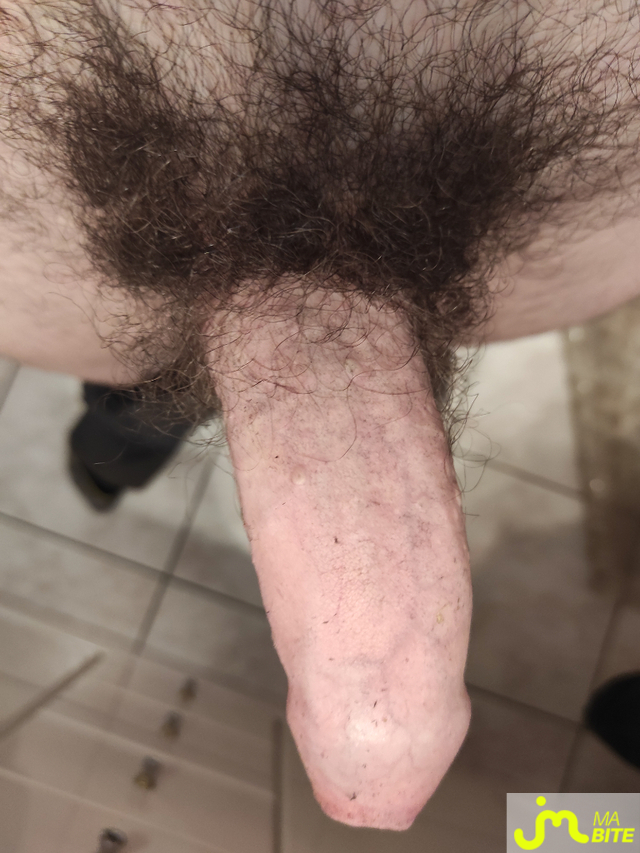 bites de hestd