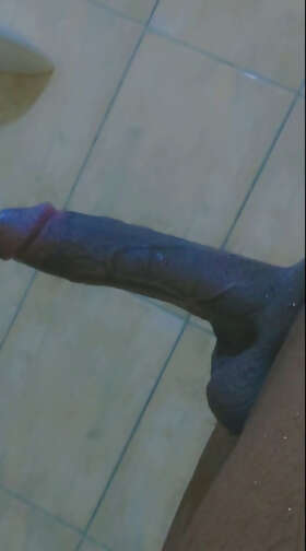 Photos de bites : Dydick