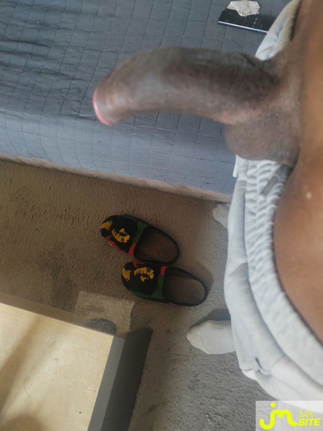 bites de Rastaman 