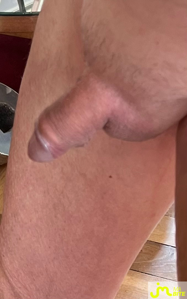 Photos de bites : Nouvelle édition 