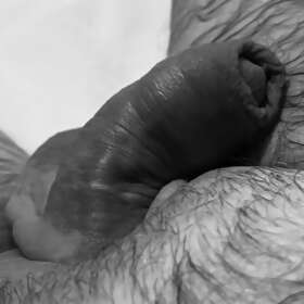 Photos de bites : 1ère fois