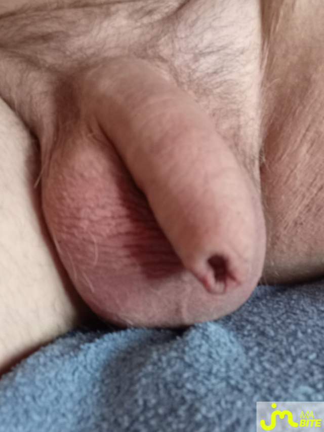 bites de Nounourse060