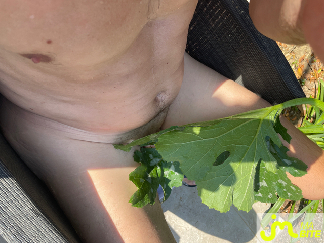 Photos de bites : Plus osées ..