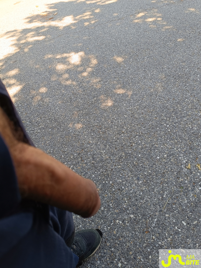 bites de Homdu74000