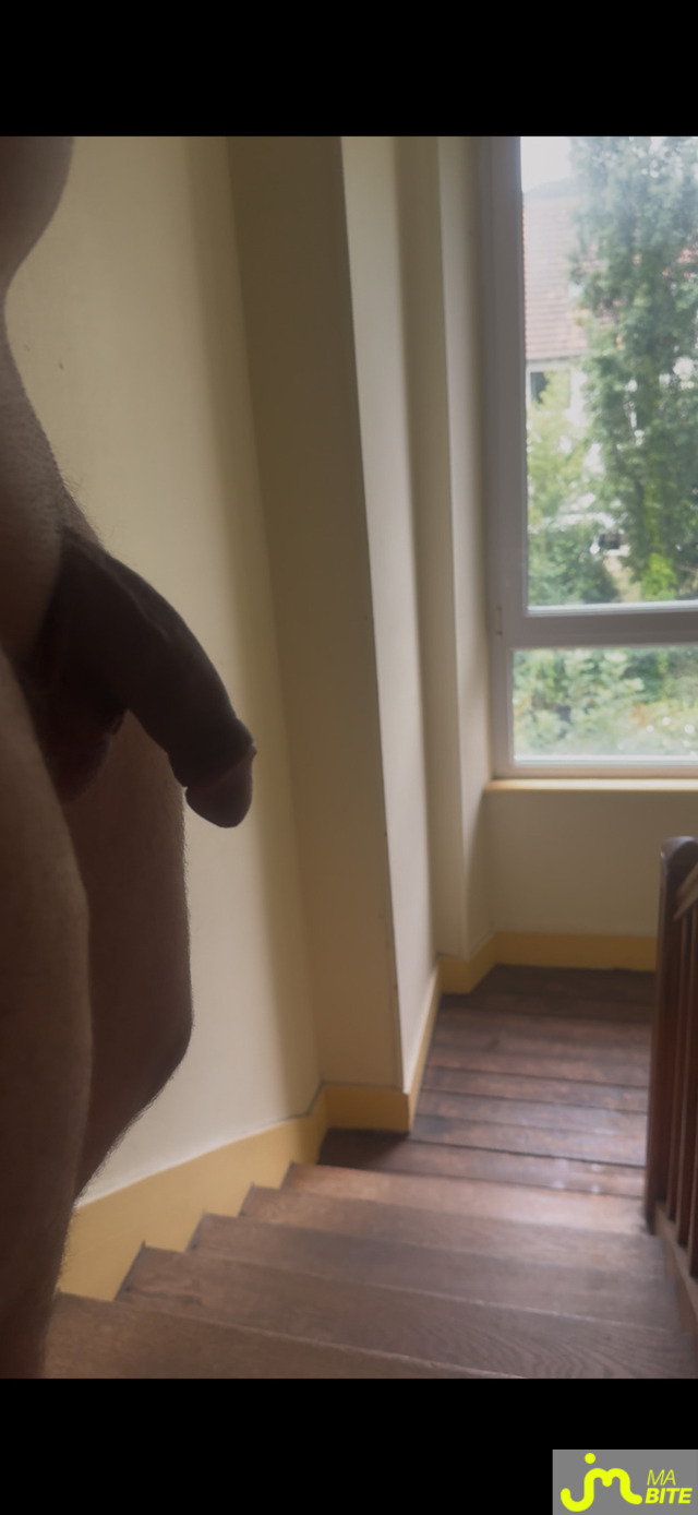 bites de Marcof 