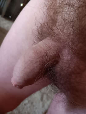 Photos de bites : Ma petite bite 