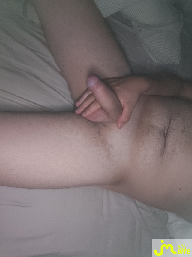 bites de Berlo