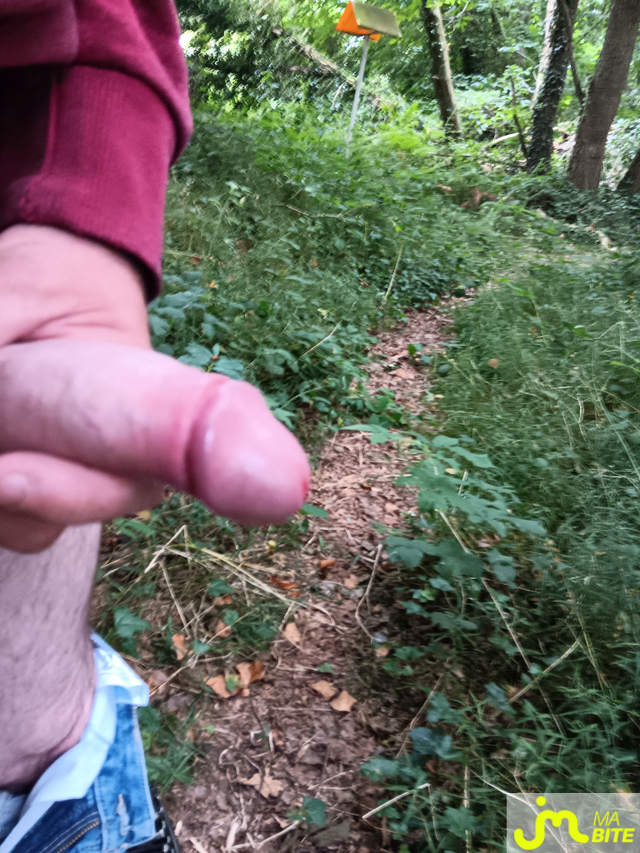 bites de mazout76