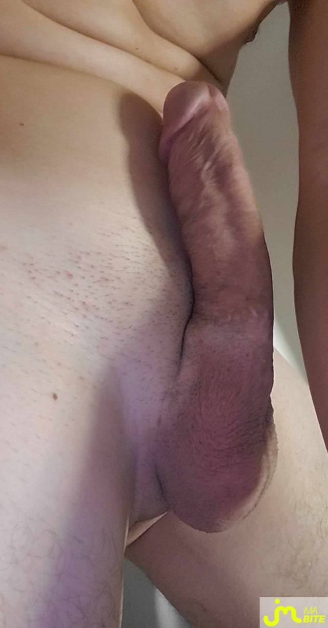bites de Mecchaud58000