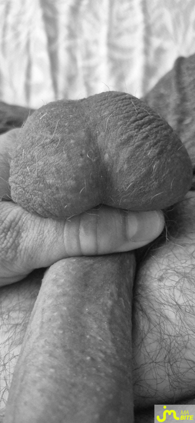 bites de Ohsavoyard