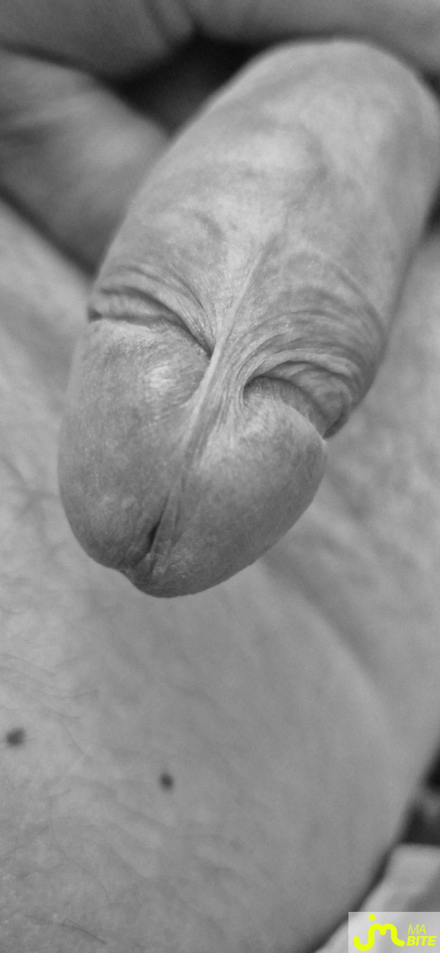 bites de Ohsavoyard