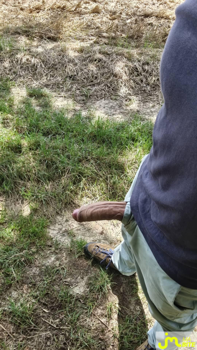 bites de PetitIndienBondissant