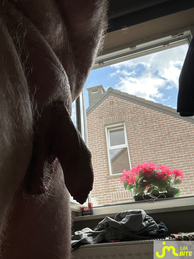 bites de Simplet1979