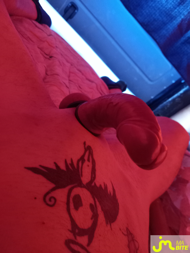 bites de foto9