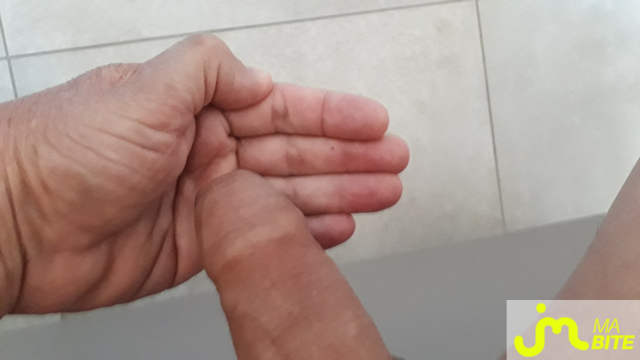 bites de bibi38