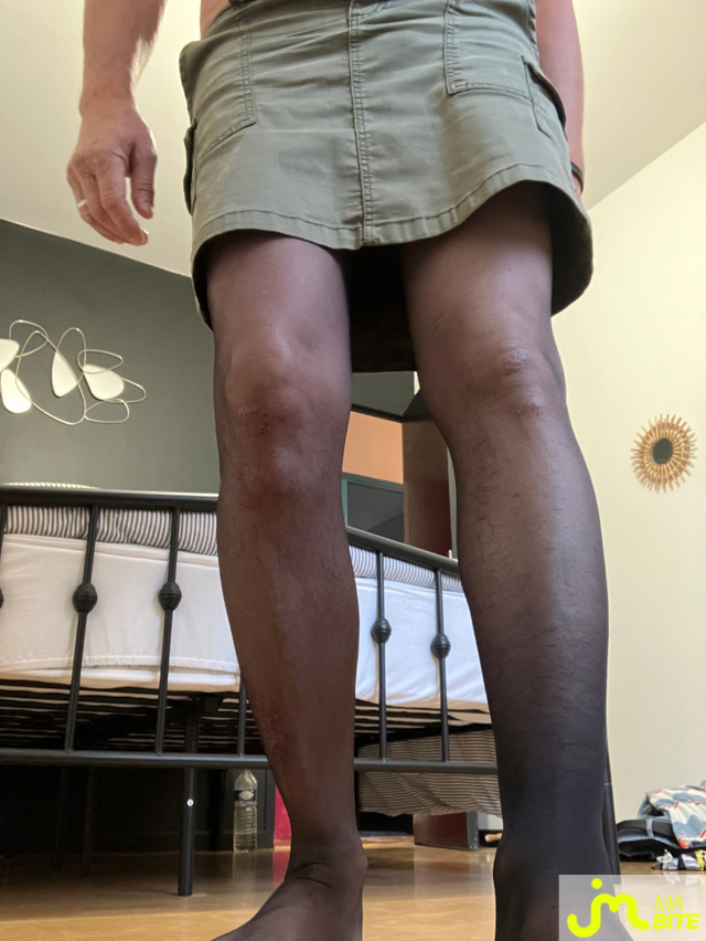 bites de Sylv24