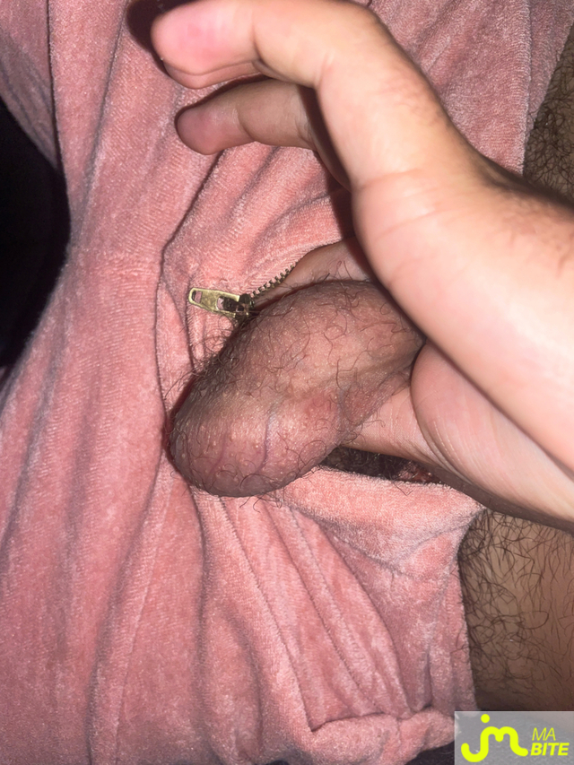 bites de Sergio_+ 