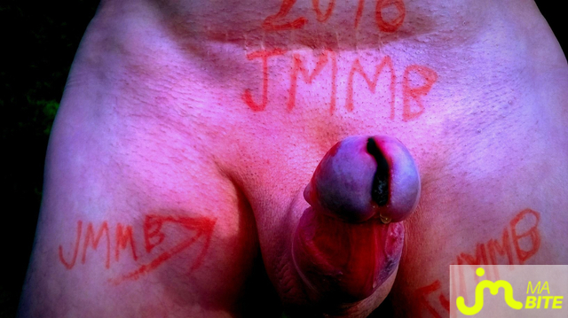 bites de Vxmâlebi46