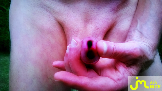 bites de Vxmâlebi46