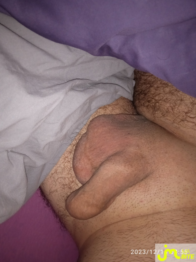 bites de ZIMBRECK