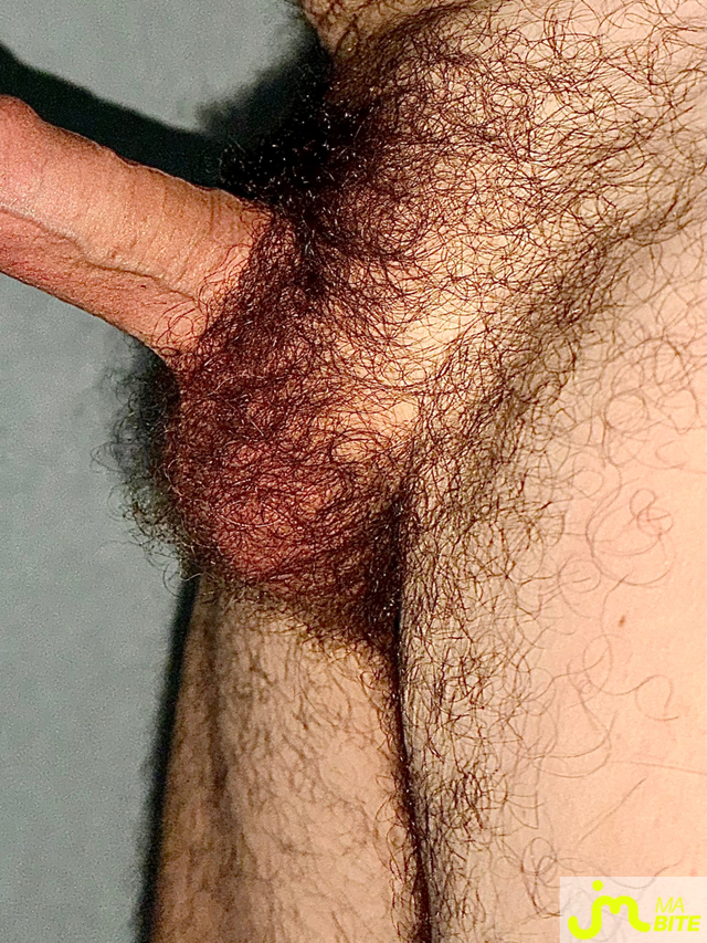 bites de Couplebibaiseurs